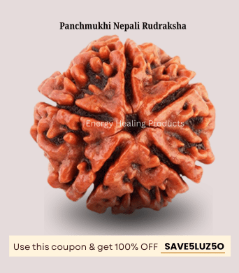 Panchmukhi Nepali Rudraksha